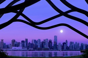 世界举重康复示范基地智能维护与远程监测试点报告发布，世界举重比赛